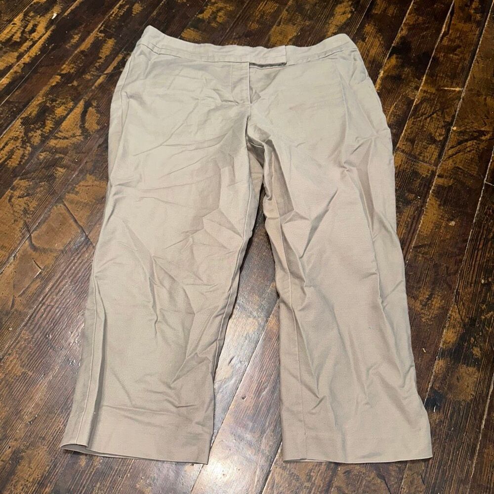 Ann Taylor tan curvy12 business casual normcore pants